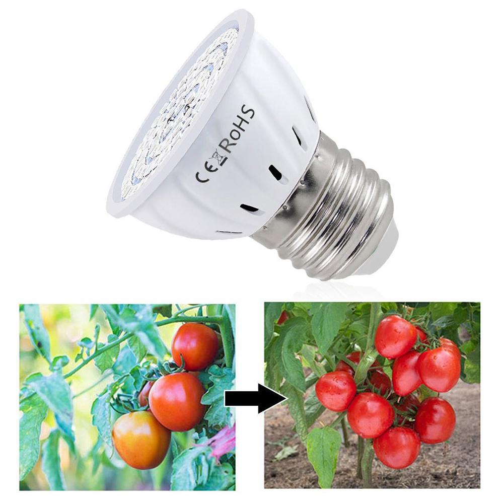 Plant Grow Light Full Spectrum - Żarówka LED do uprawy roślin E27