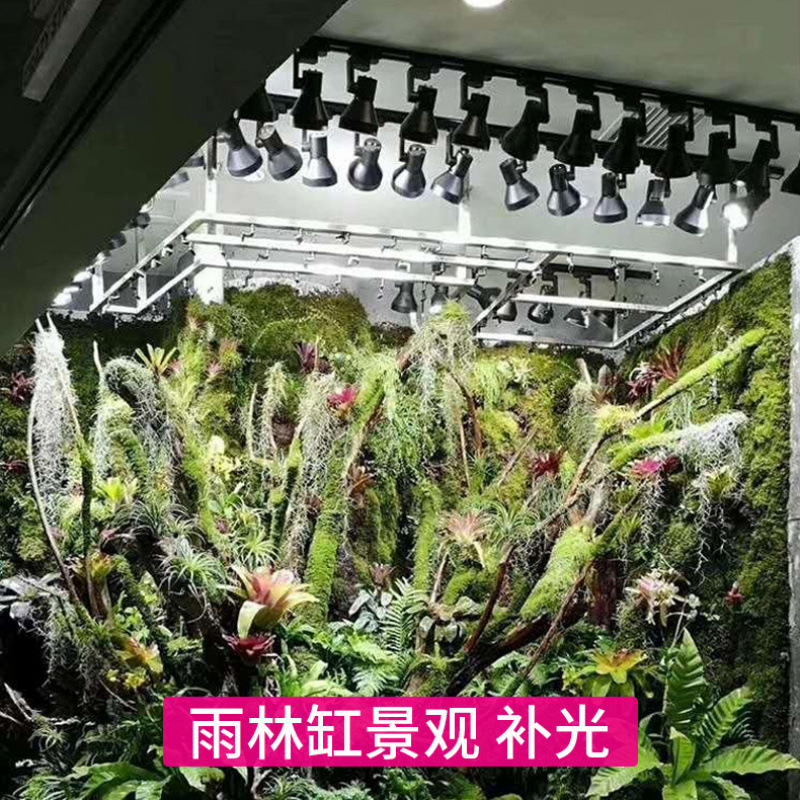 Pełnospektralna lampa LED do u – Plant Grow Light Full Spectrum recenzja i cena