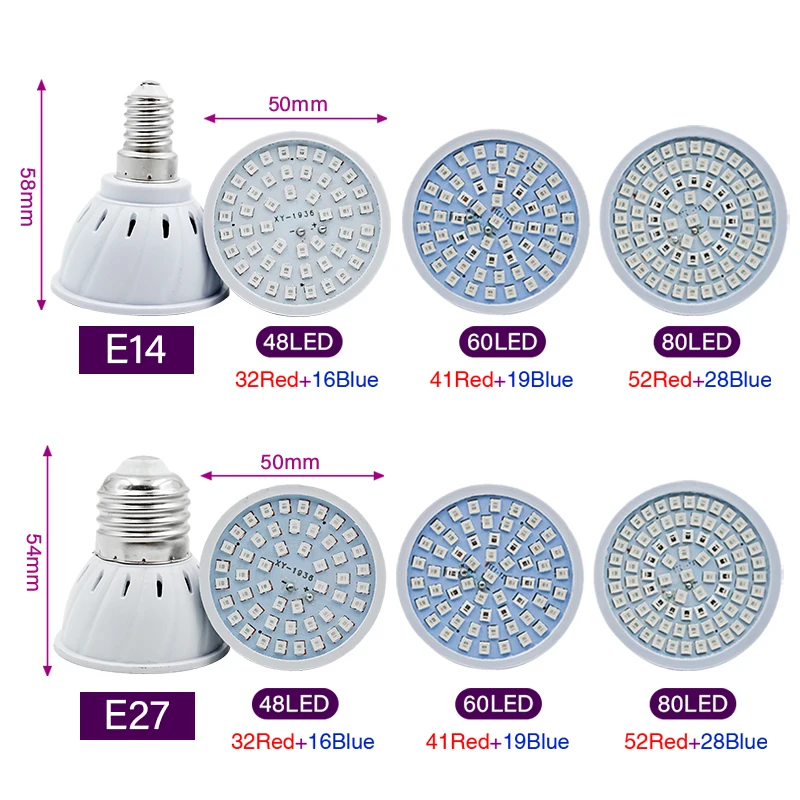 Phyto Lamp Full Spectrum LED G – Plant Grow Light Full Spectrum recenzja i cena