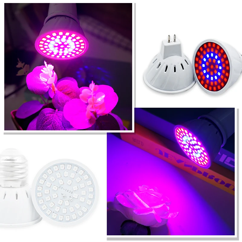Phyto Lamp Full Spectrum LED G – Plant Grow Light Full Spectrum recenzja i cena