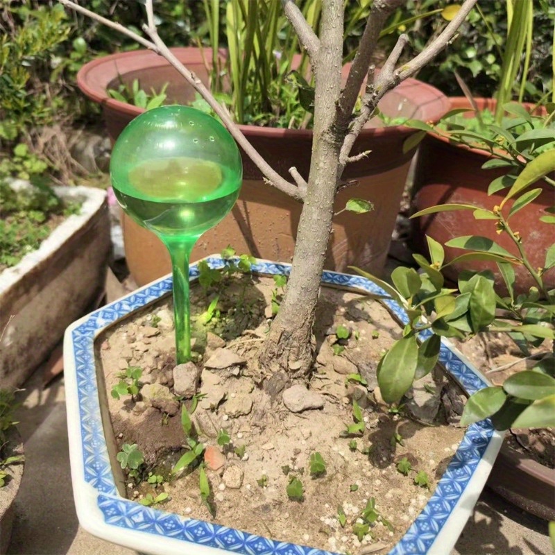 6 SZT. Samonawadniające Kulki  – Smart Garden Project recenzja i cena
