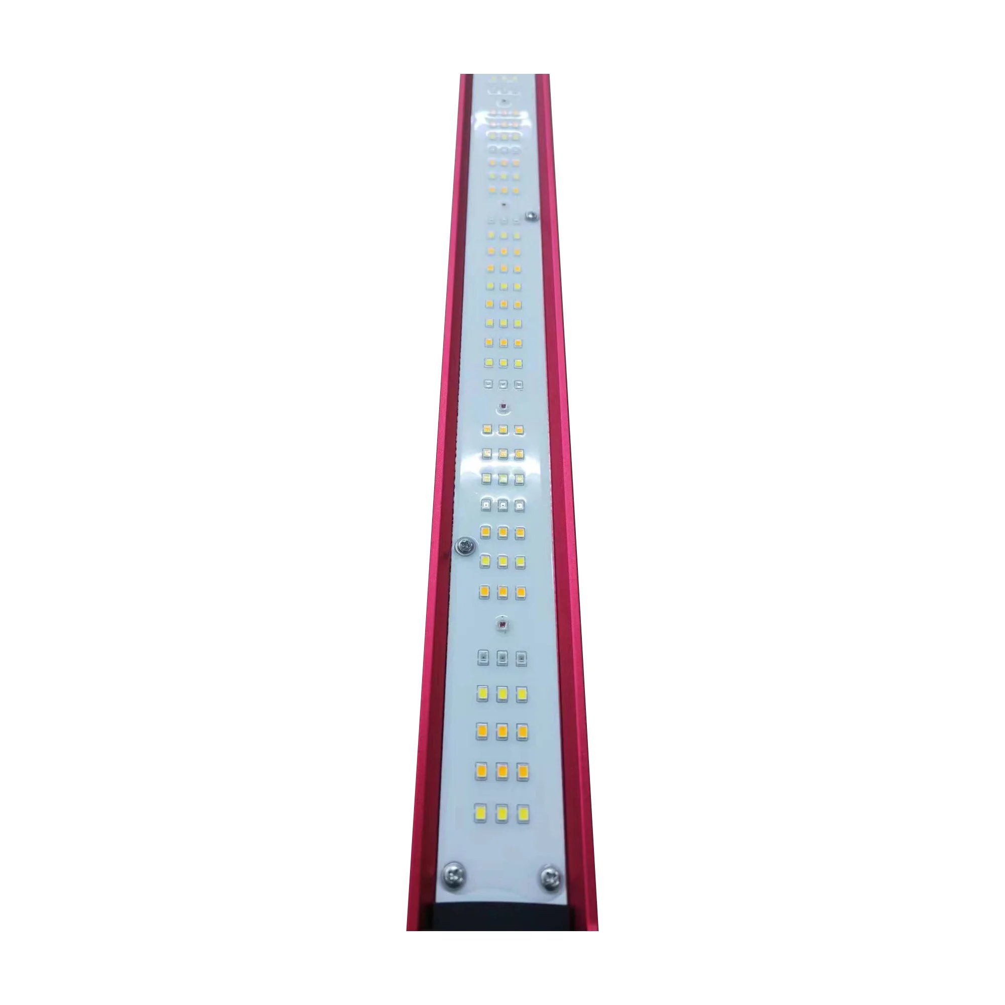 450W 600W 800W 1000Watt Wewnęt – Plant Grow Light Full Spectrum recenzja i cena