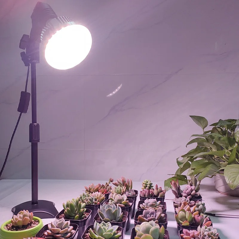 Składana i wisząca lampa do up – Plant Grow Light Full Spectrum recenzja i cena