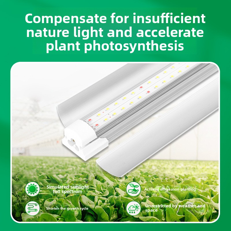 Wewnętrzna lampa do uprawy roś – Plant Grow Light Full Spectrum recenzja i cena