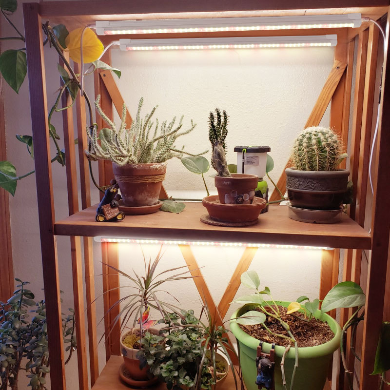 Wewnętrzna lampa do uprawy roś – Plant Grow Light Full Spectrum recenzja i cena