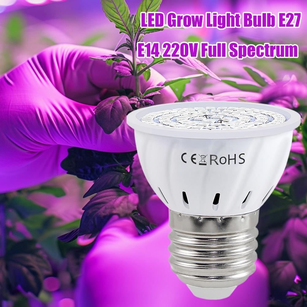 Żarówka LED do uprawy roślin E – Plant Grow Light Full Spectrum recenzja i cena