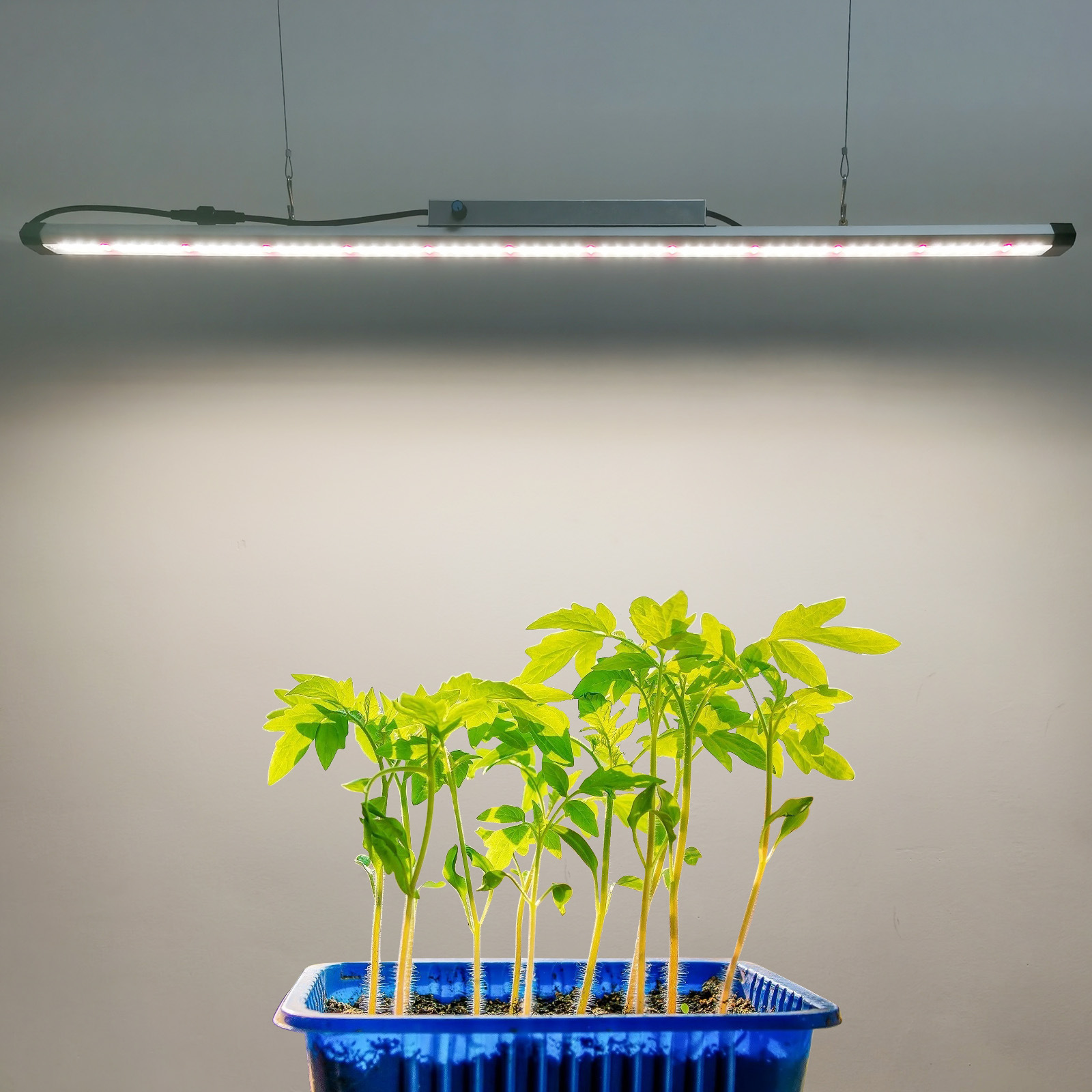 Listwa LED do uprawy roślin o  – Plant Grow Light Full Spectrum recenzja i cena