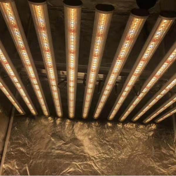 LUX Chińska Fabryka Oświetleni – Plant Grow Light Full Spectrum recenzja i cena