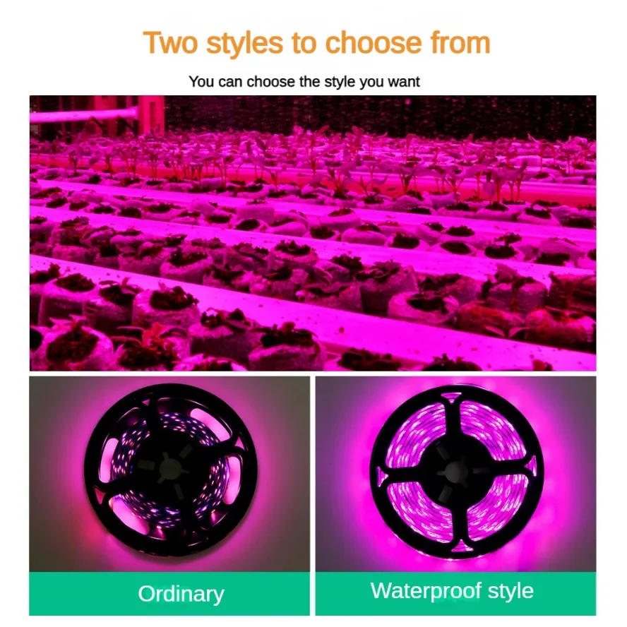 Z przełącznikiem ściemniania 5 – Led Plant Light Strip recenzja i cena